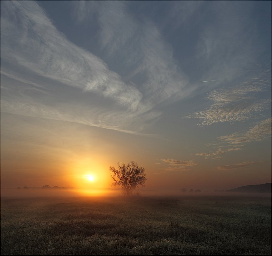 утро, рассвет, туман, дерево, Сергей