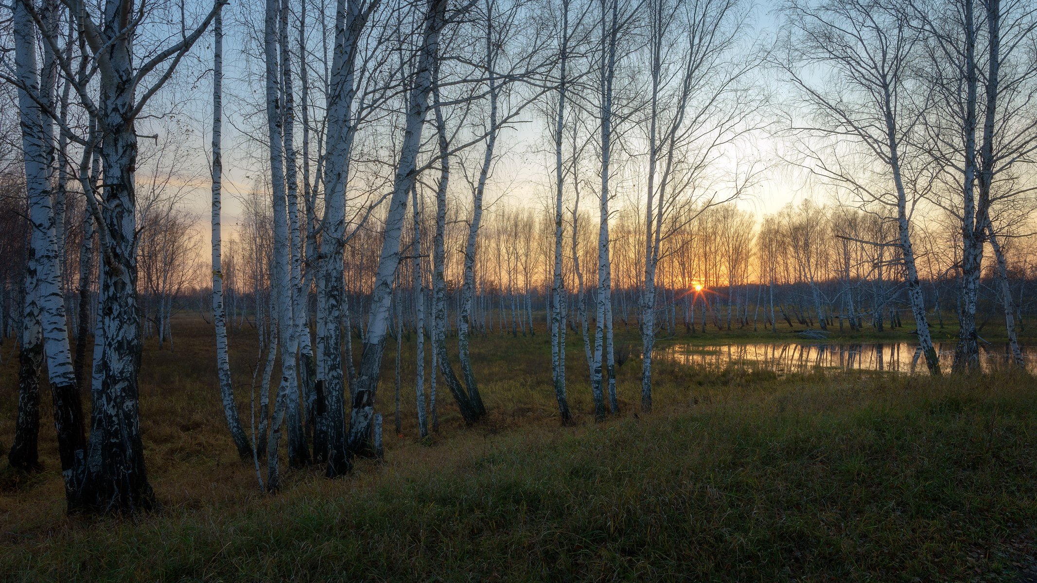 осень сентябрь закат березы, Сергей Козлов