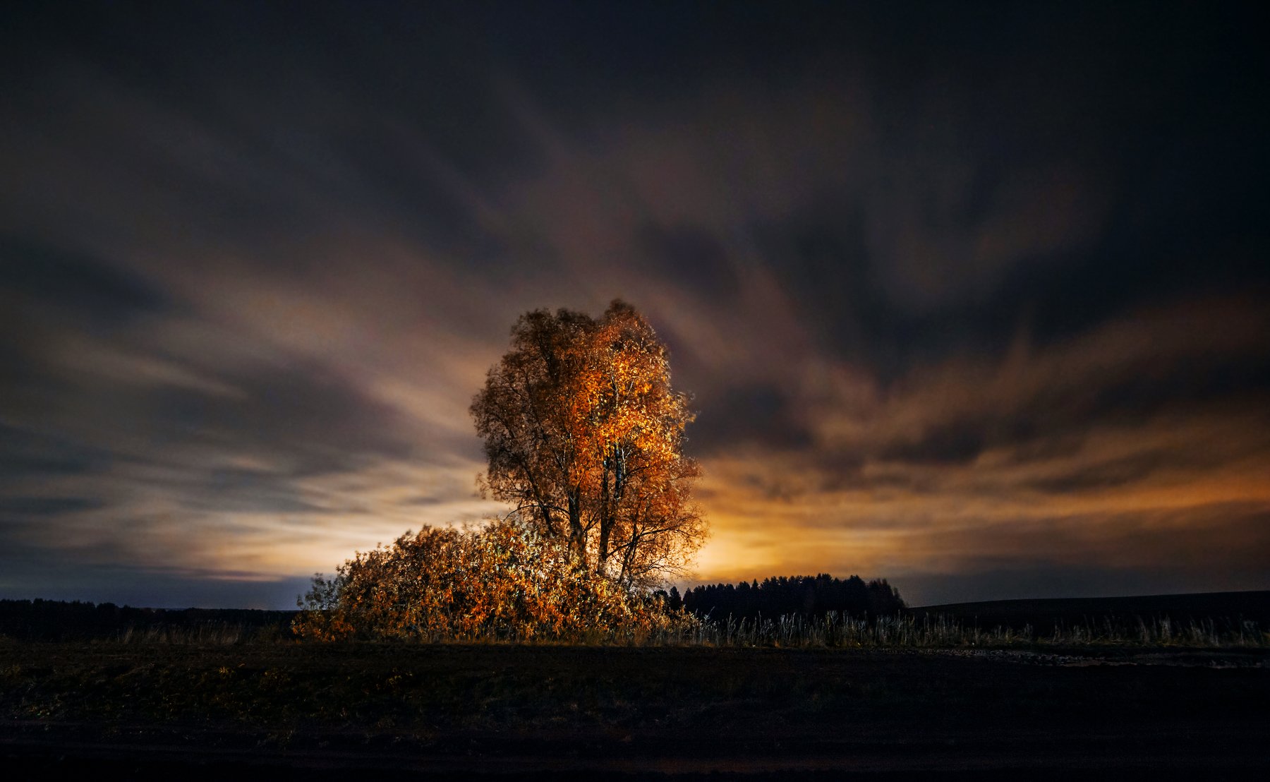 Дерево, ночной пейзаж, ночь, облака, длинная выдержка, Vyacheslav Lozhkin
