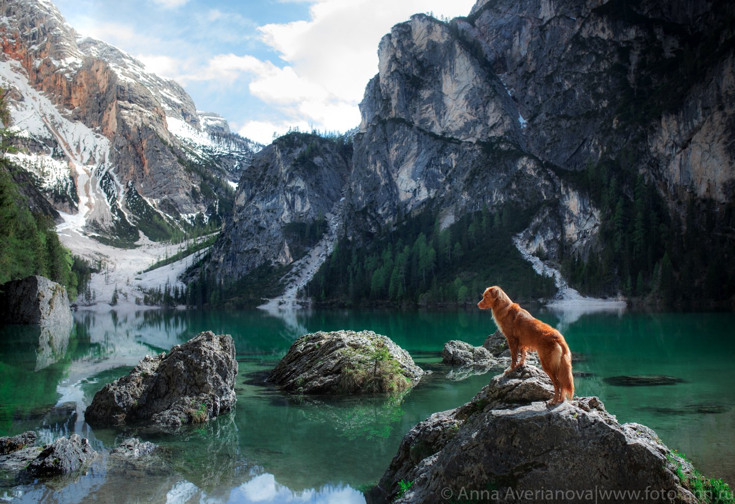 озеро, собака, природа, горы, Анна Аверьянова