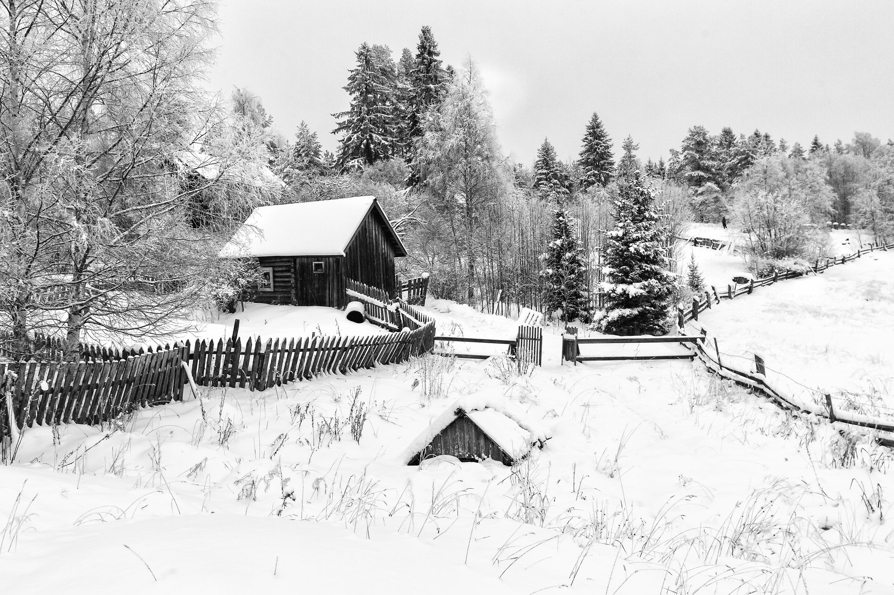 зима,черно-белое,карелия,деревня, Юлия Лаптева
