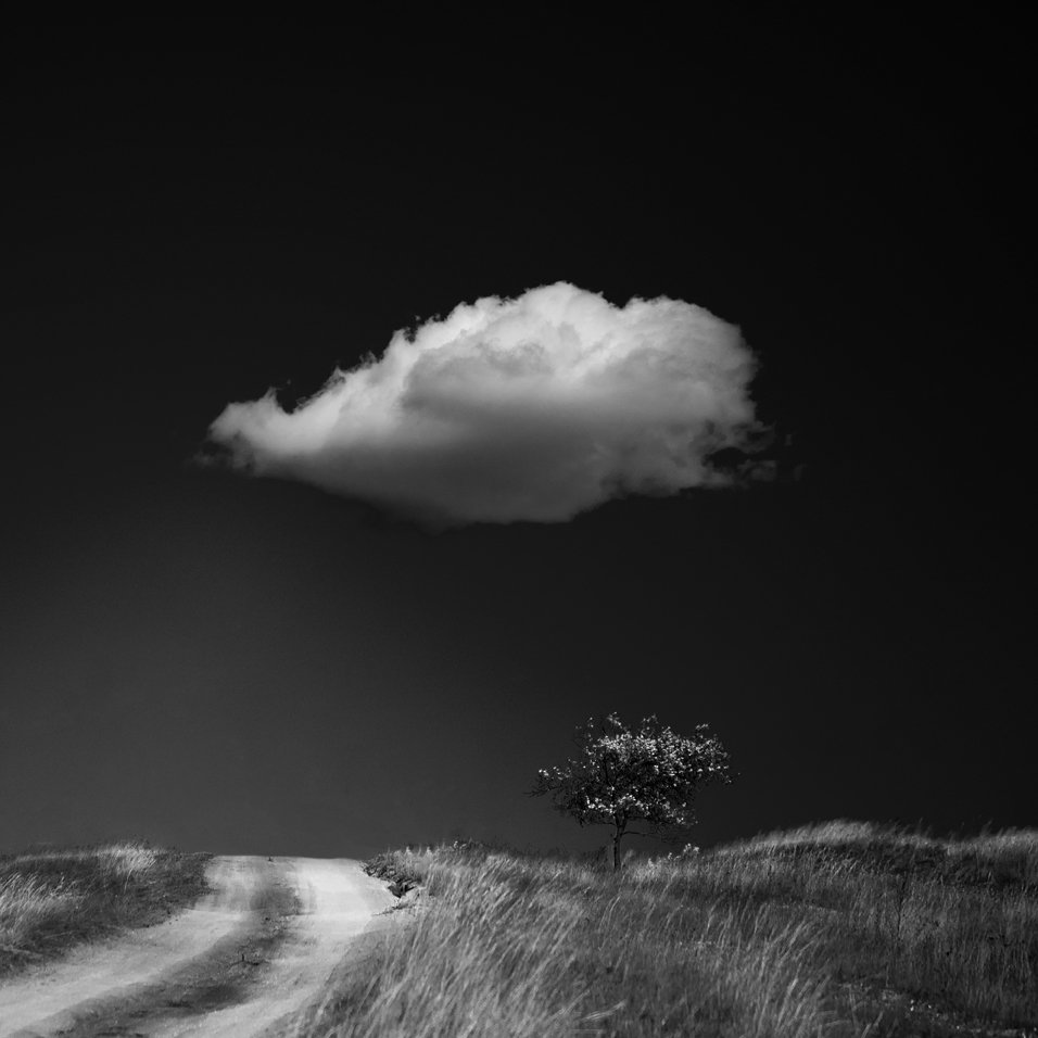 небо, облако, дерево, Роман Рыжков