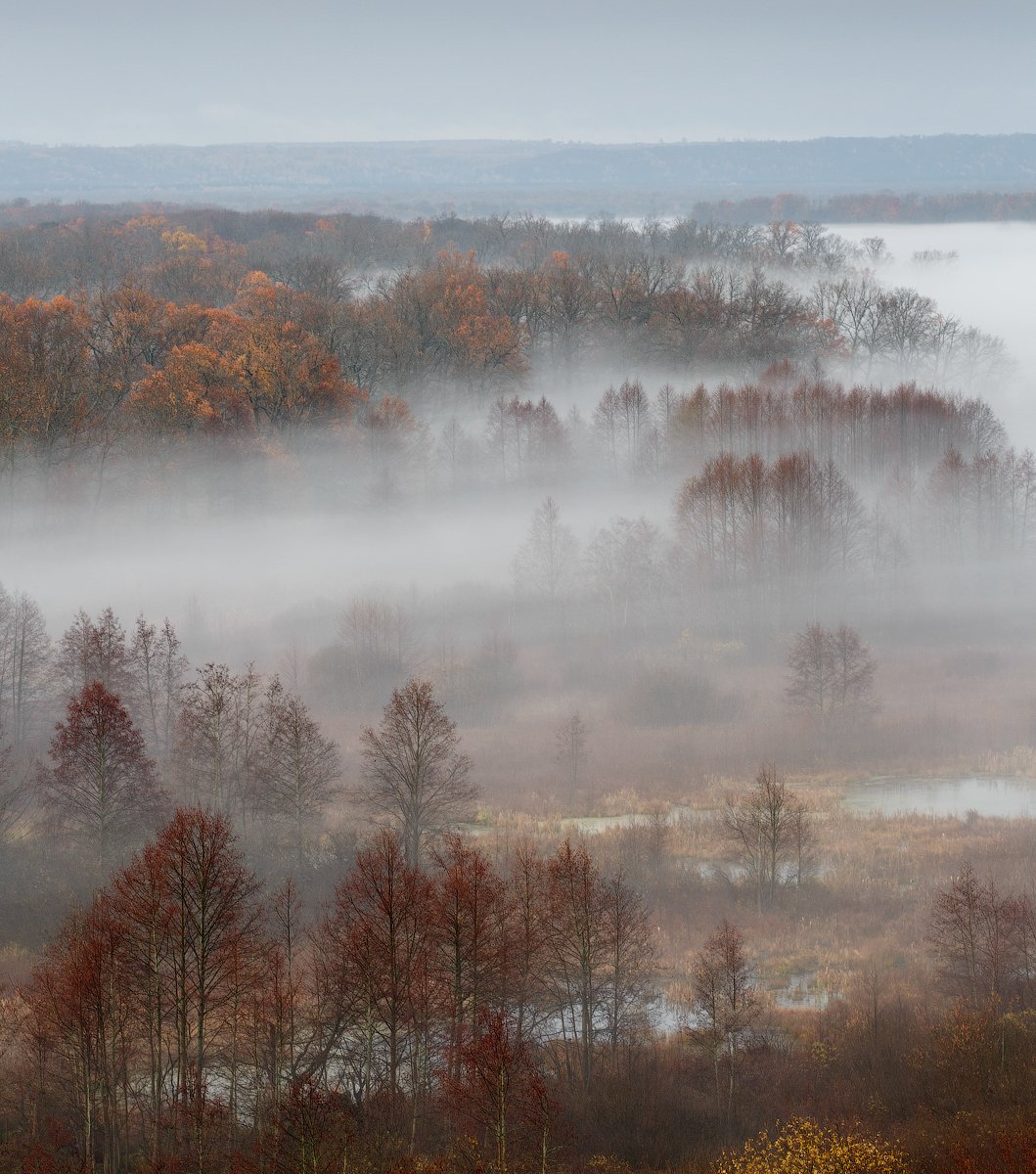 природа утро  туман деревья осень, Михаил Корнилов
