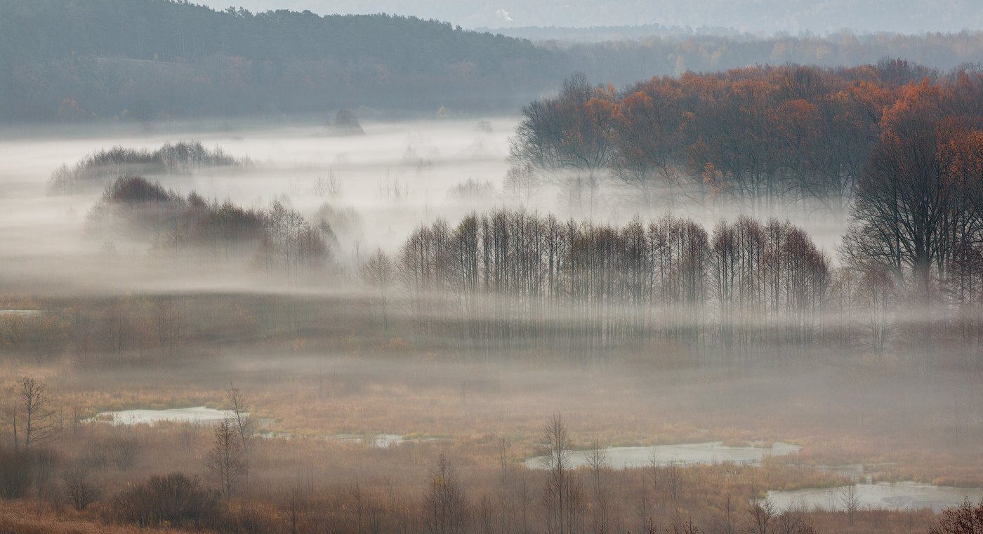 природа утро туман деревья осень, Михаил Корнилов