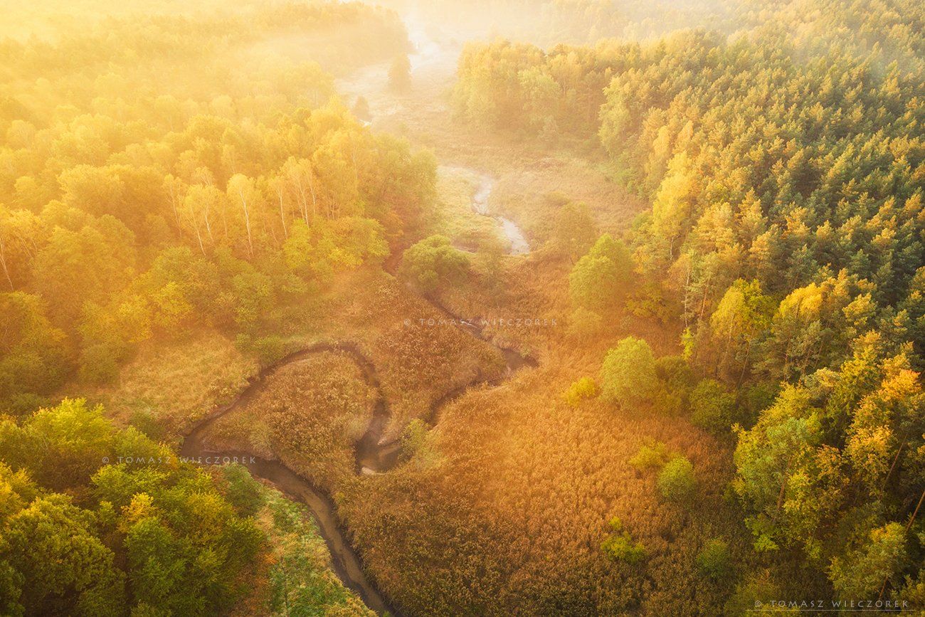 forest, drone, dji, air, poland, polish, landscape, sunrise, sunset, colours, autumn, awesome, amazing, adventure, travel, beautiful, morning, river, valley, Tomasz Wieczorek
