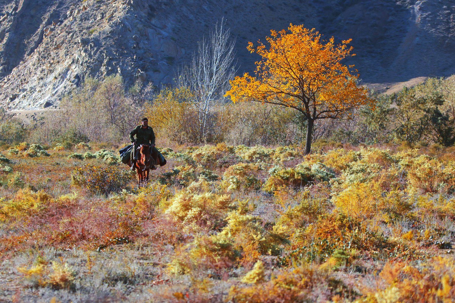 осень, пастух, чабан.наездник,лошадь,горы,вершины,пейзаж,небо,деревья,дагестан,природа, Marat Magov
