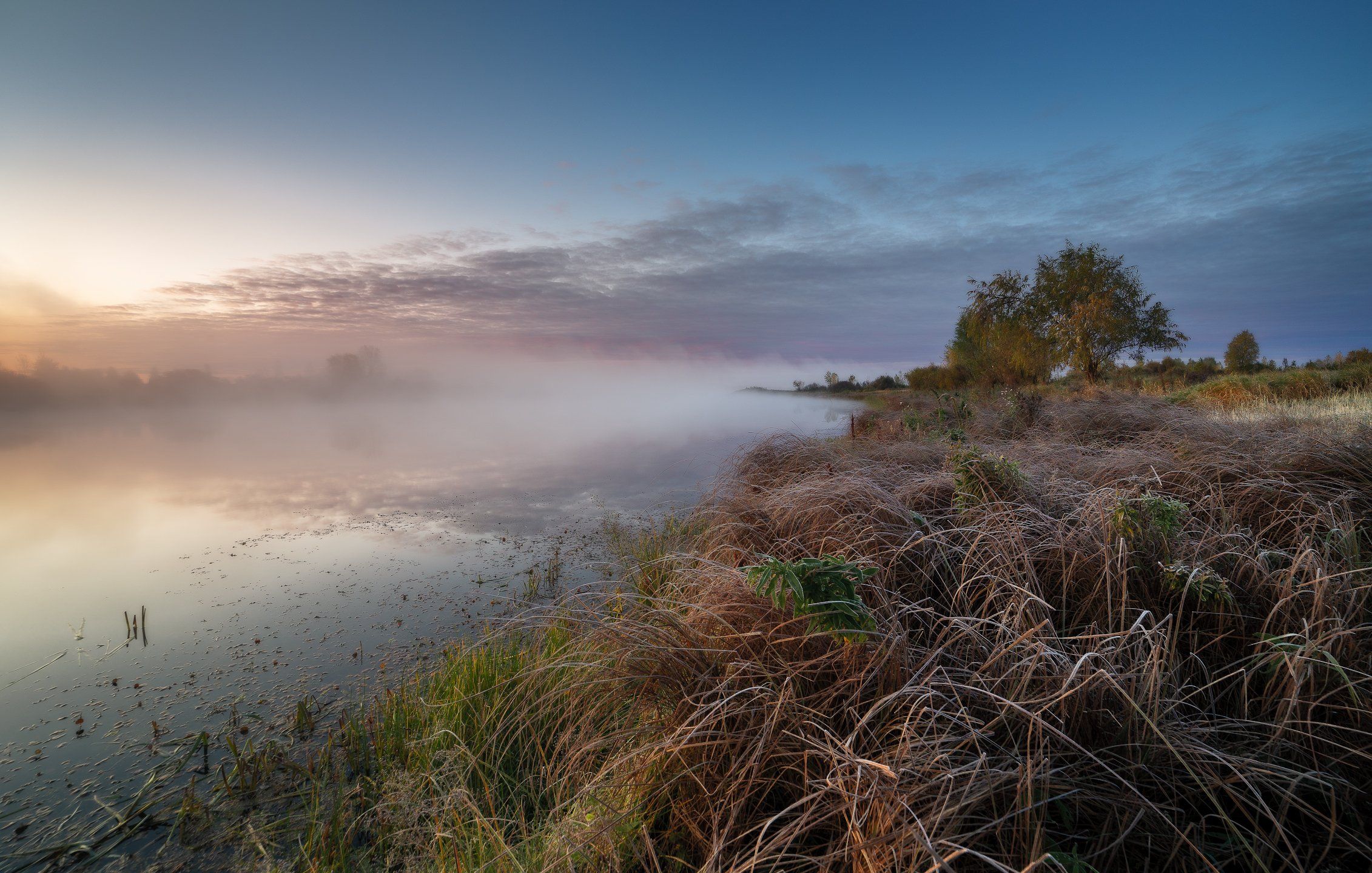утро, туман, иней, трава, озеро,  Гобова Наталья