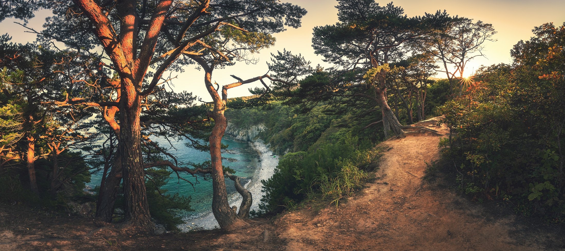 панорама, сентябрь, осень, море, сосны, Андрей Кровлин