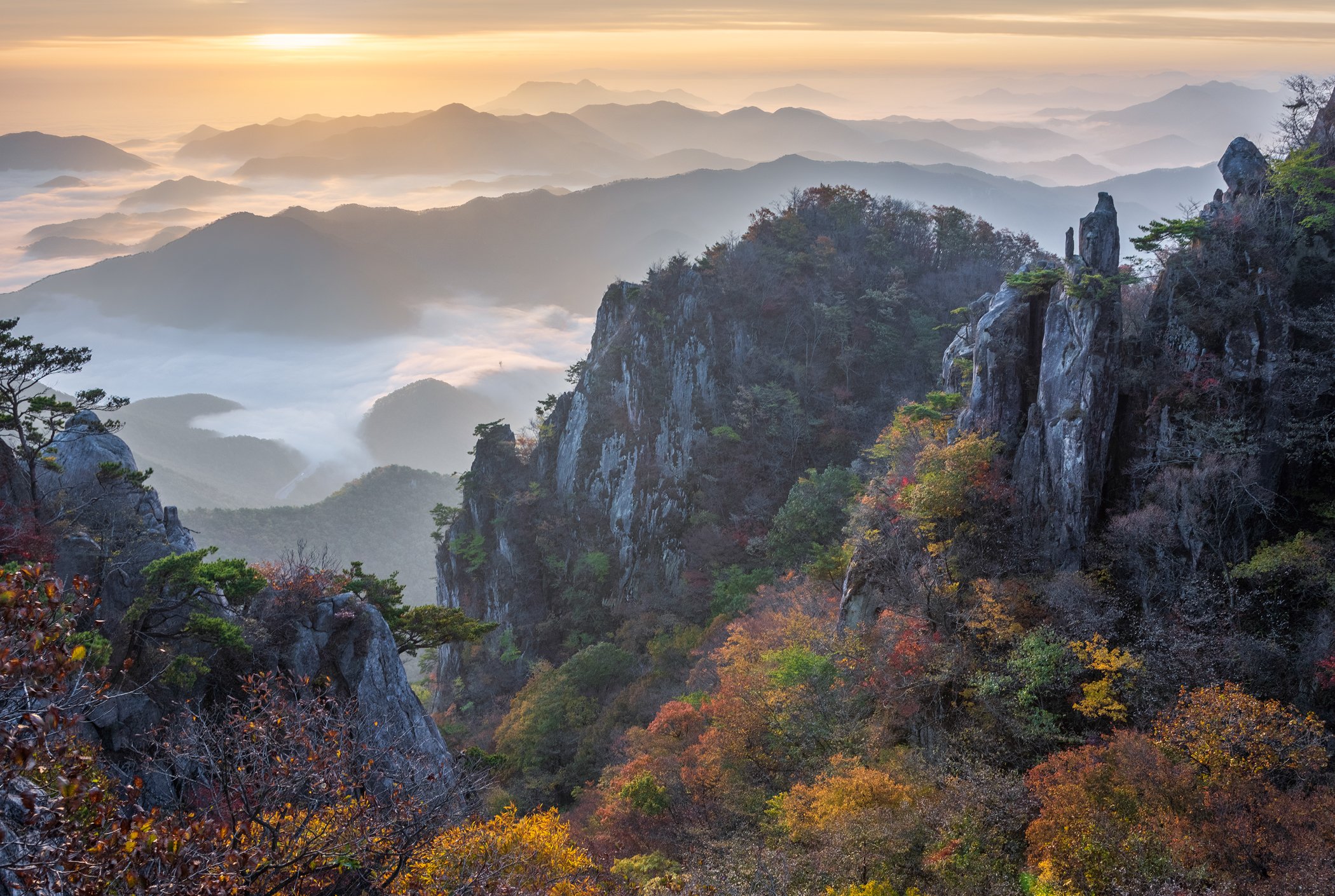 Jaeyoun Ryu фотограф