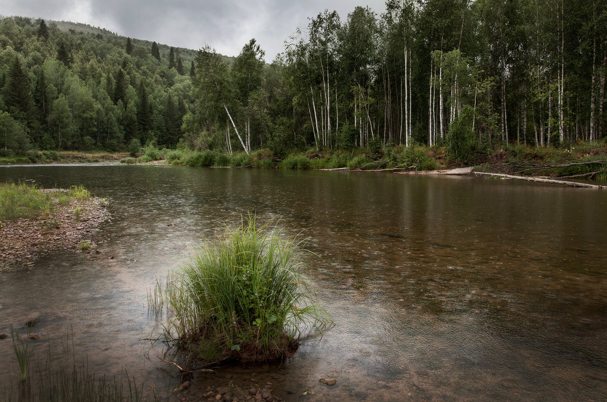 пейзаж,река,дождь,лес, Тамара Андреева