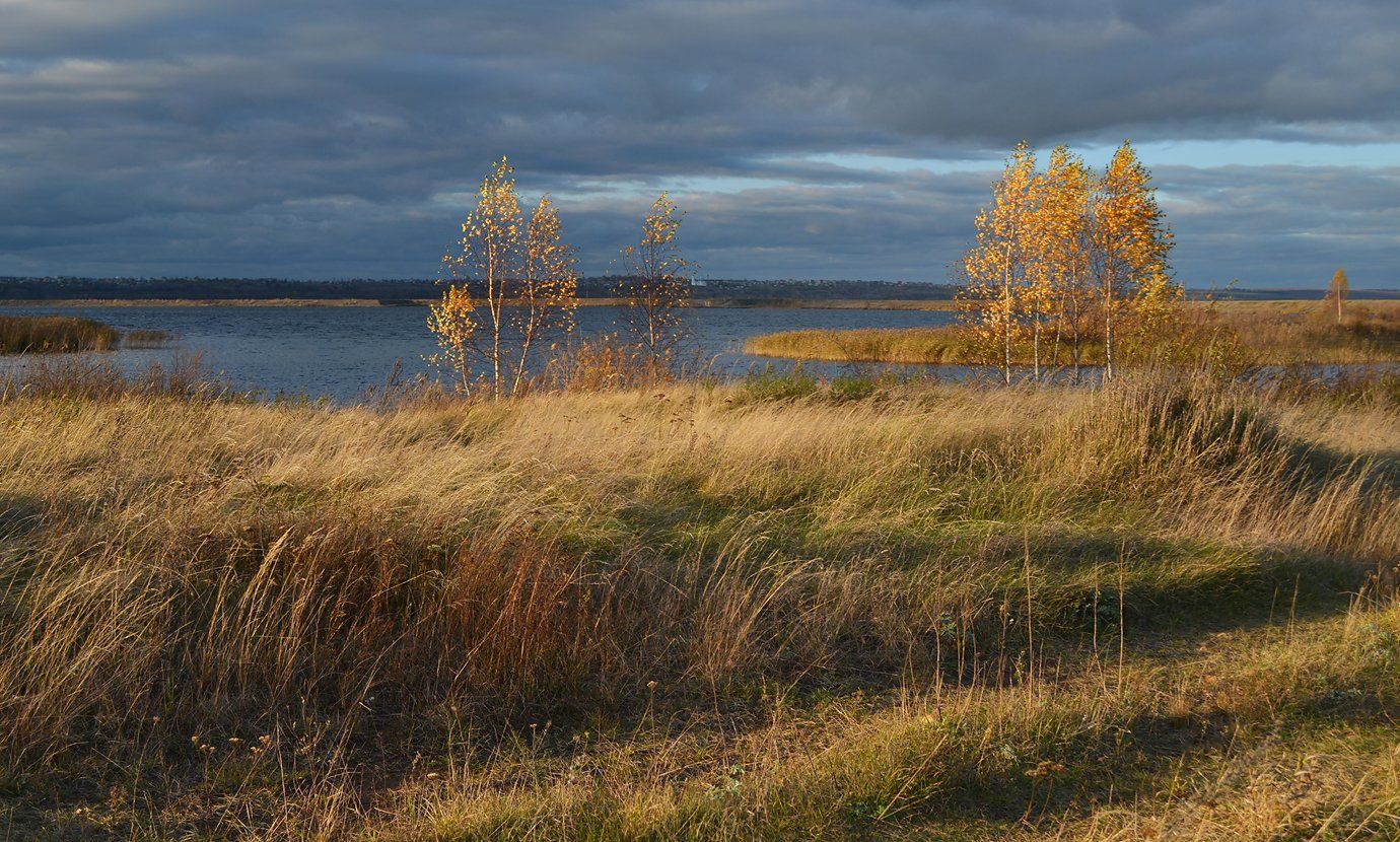ветер, октябрь, трава, березы, берег, простор, солнечный свет, Irina Shapronova