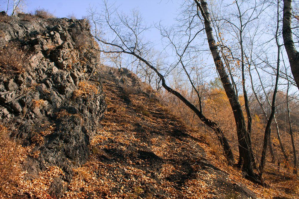 осень, октябрь, Курочкина Диана