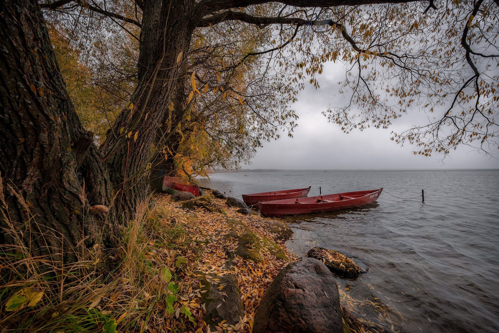 переславль, залесский, плещеево, озеро, октябрь, осень, дождь, лодки, Андрей Чиж
