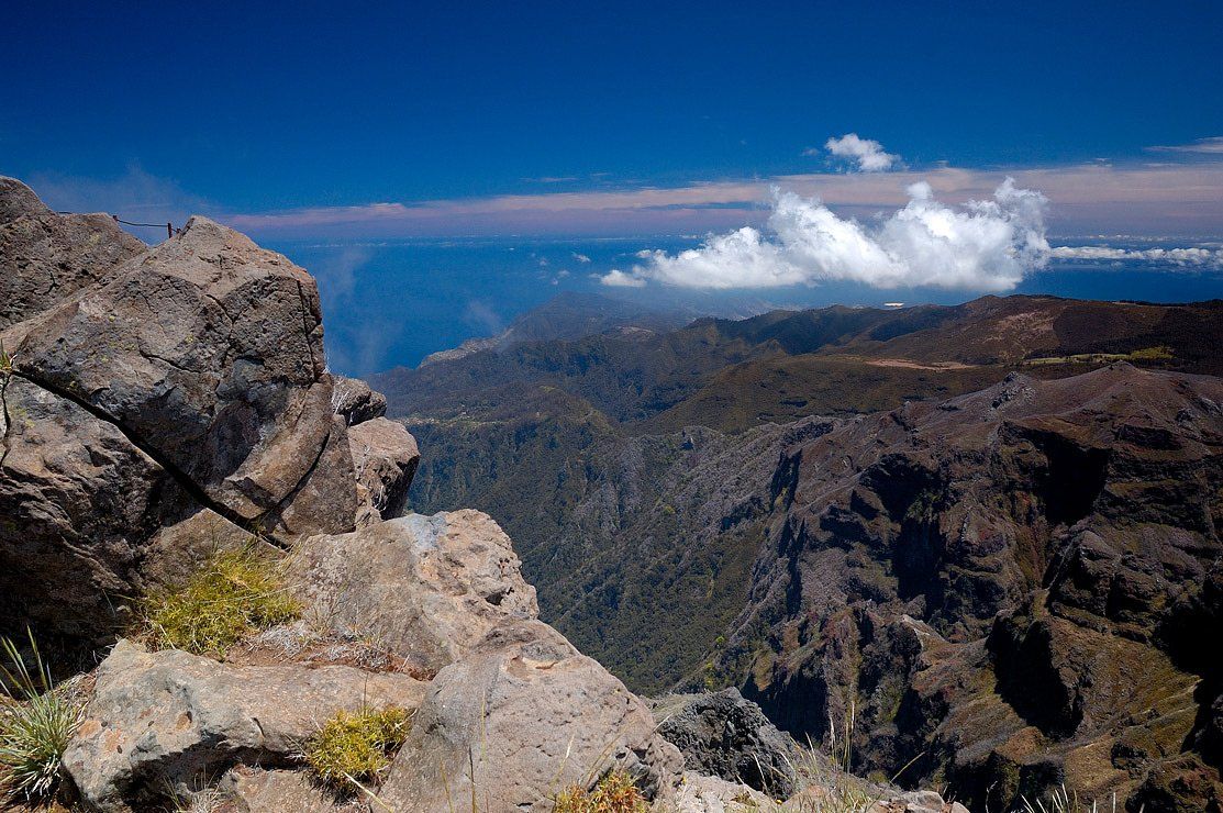 madeira, мадейра, Капустин Николай