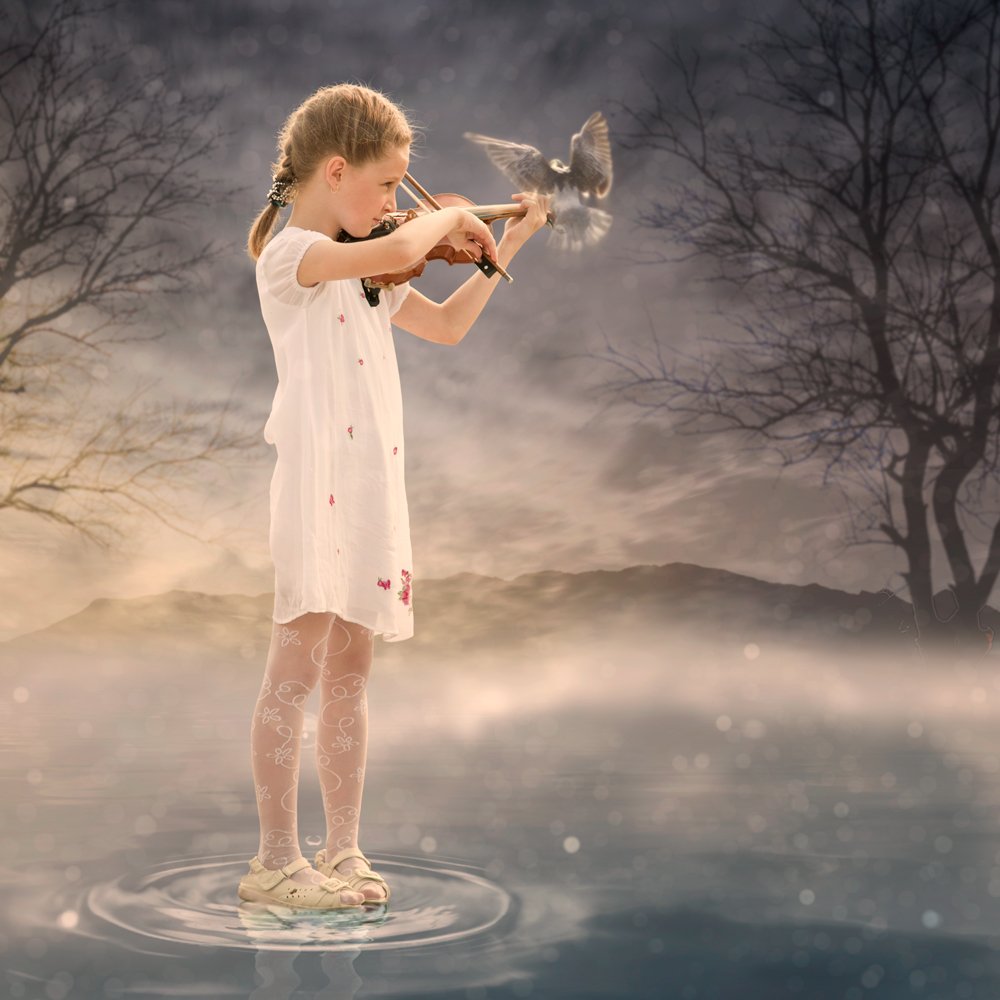 girl, water, reflection, clouds, tree, white, playing, violin, mystery, dove, sublime, Caras Ionut