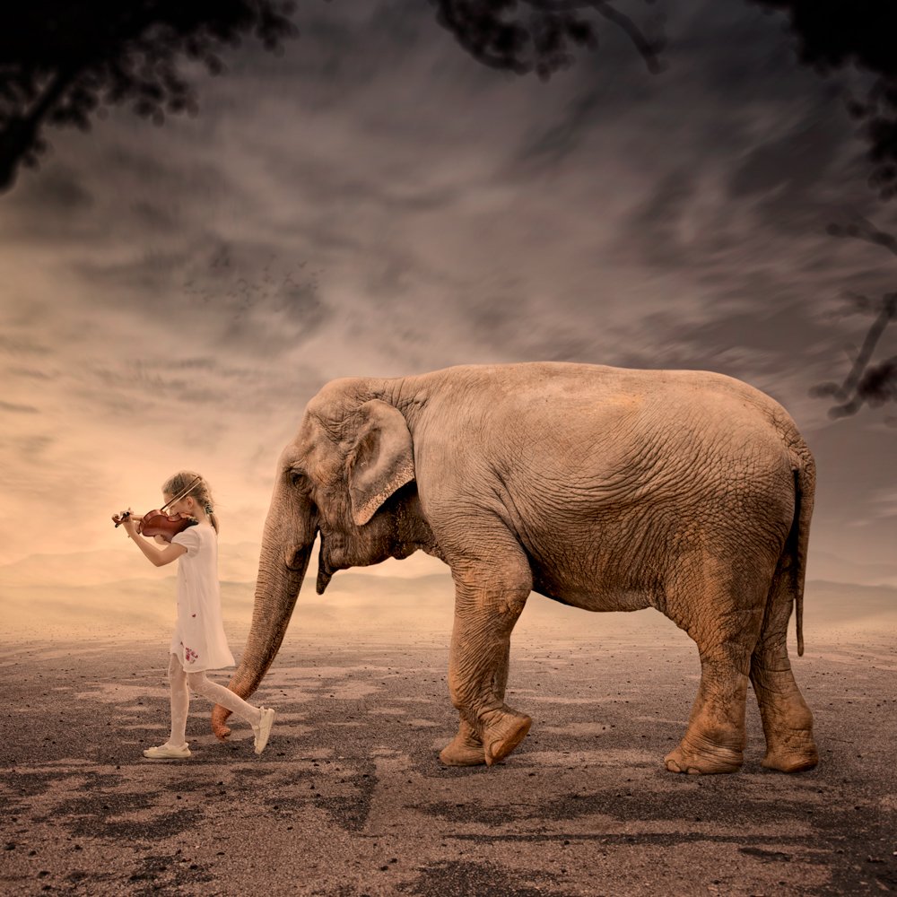 field, sky, red, girl, tree, violin, walking, ground, elephant, mounting, singing, Caras Ionut