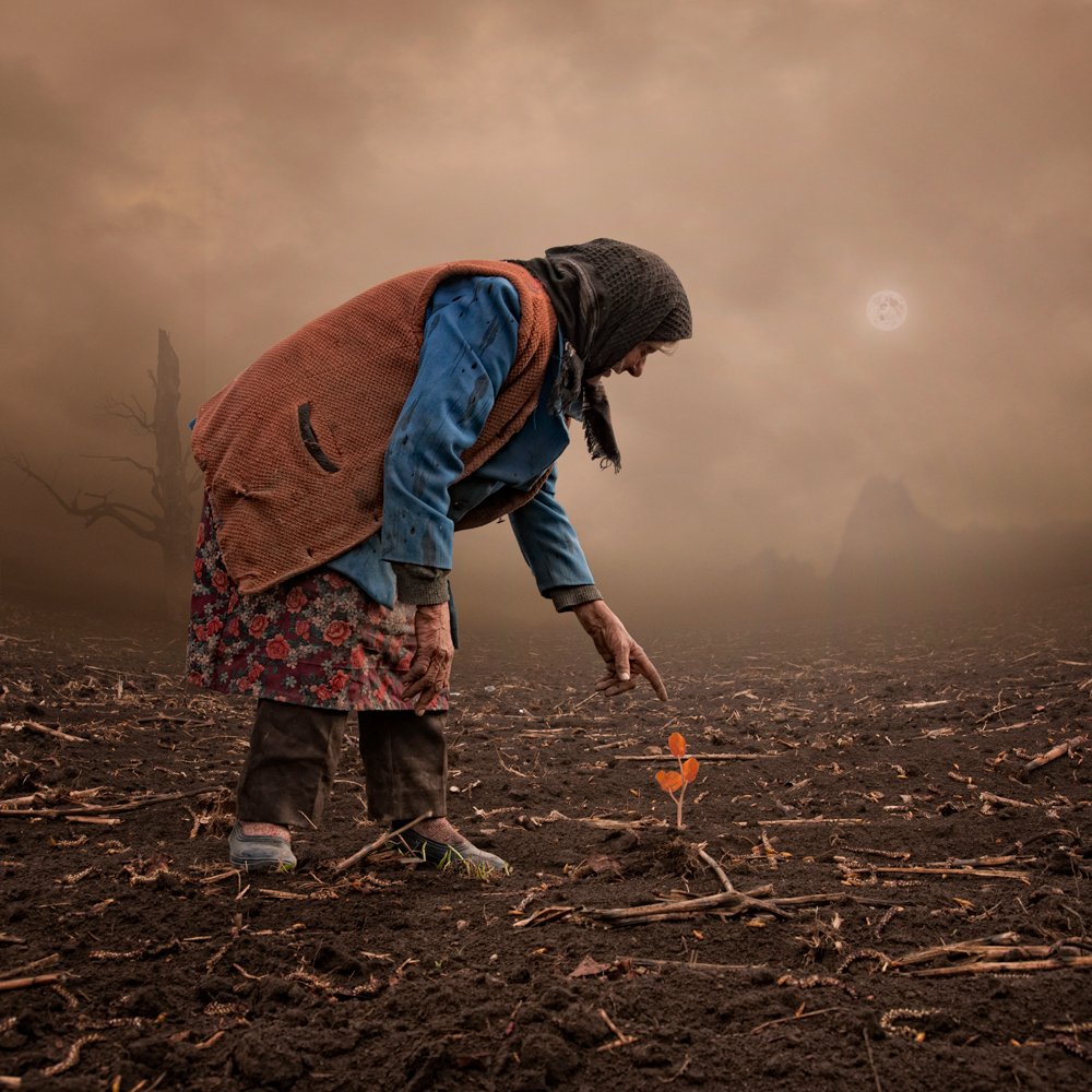 field, light, tree, shadow, moon, woman, alone, ground, mounting, hill, worker, miracle, Caras Ionut