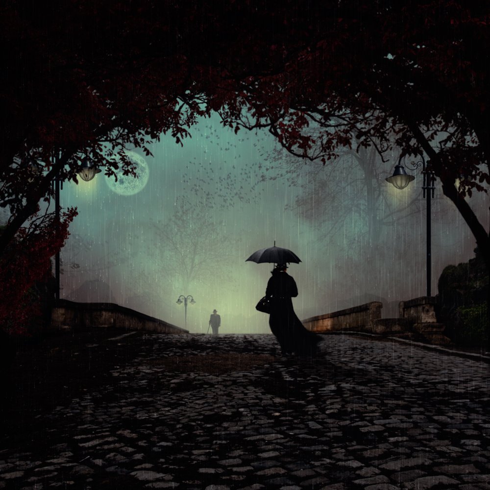 umbrella, reflection, light, rain, tree, bridge, moon, woman, man, walking, mystery, Caras Ionut