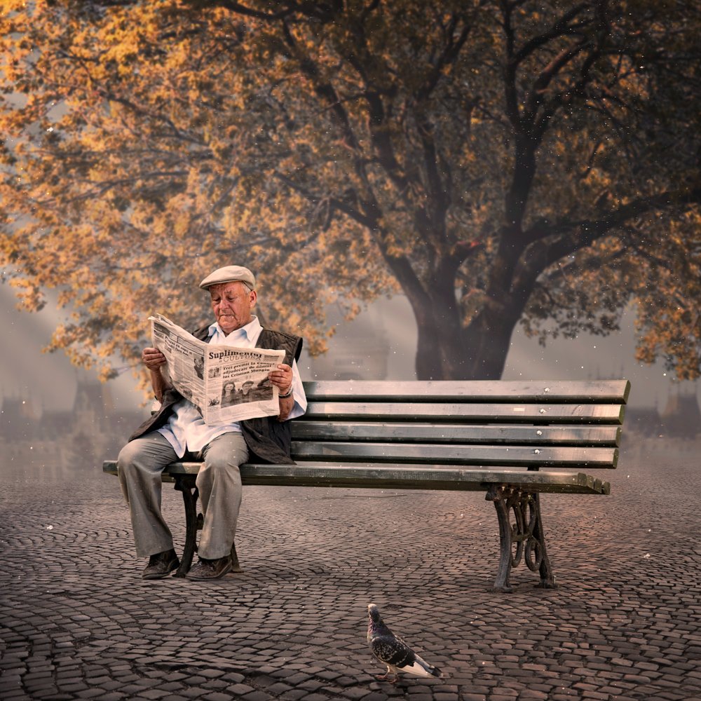 bench, man, alone, balance, leaf, nature, tree, autumn, green, light, sun, flowers, clock, city, sky, clouds, magazine, news paper, wet, rain, Caras Ionut