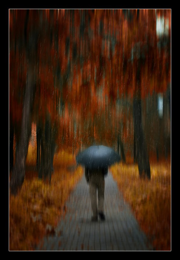 дождь, человек, под зонтом, осень, настроение, Зуева Юля