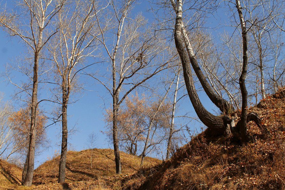 осень, октябрь, Курочкина Диана