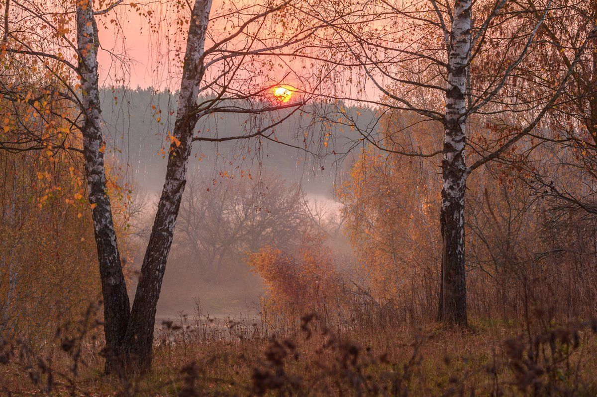 осень,октябрь,рассвет,природа,красота,, Юлия Лаптева