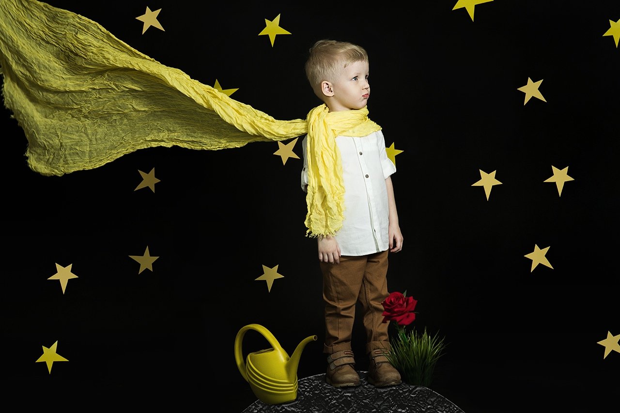 принц, маленький, мальчик, звезды, роза, лейка, ухаживает, шарф, ветер, планета, Дарья Комарова