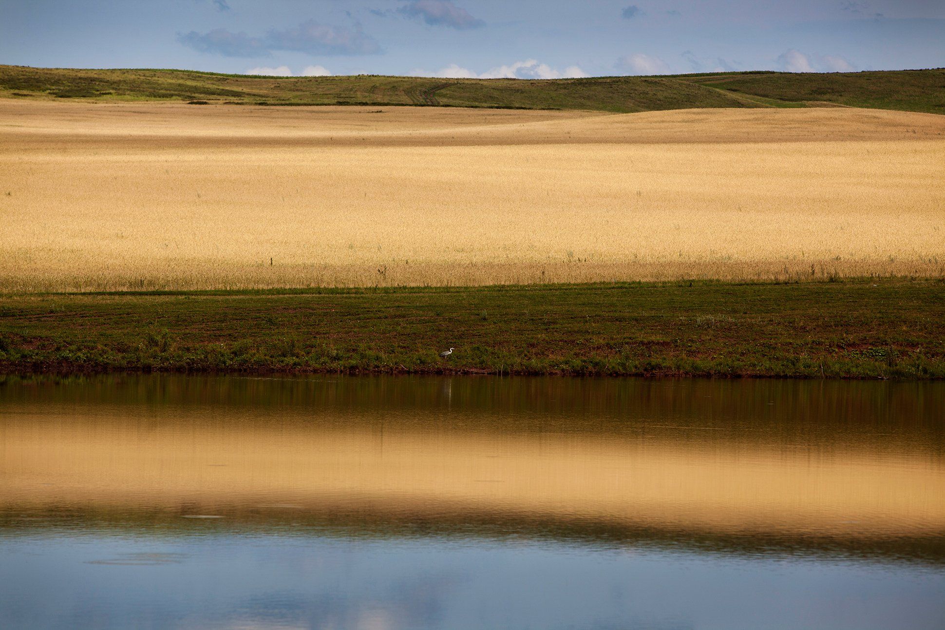 озеро,поле,осень,отражение, Тамара Андреева