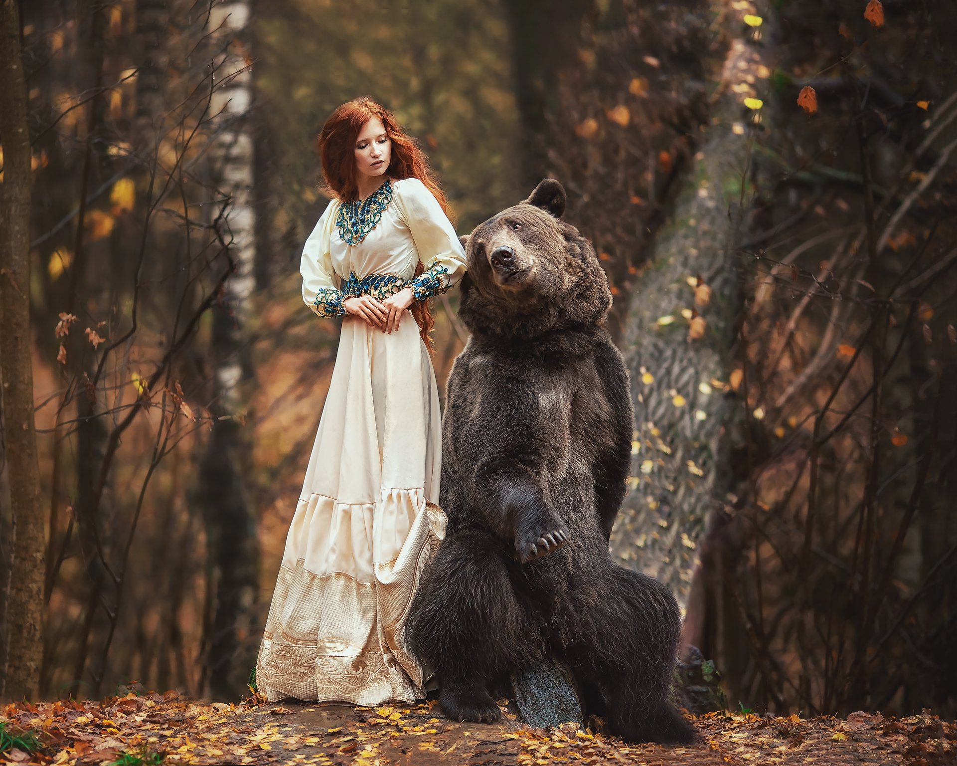 медведь, Бармина Анастасия