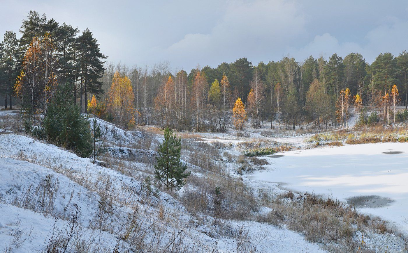 туман, утро, снег, осень, октябрь, деревья, солнечный свет, Irina Shapronova