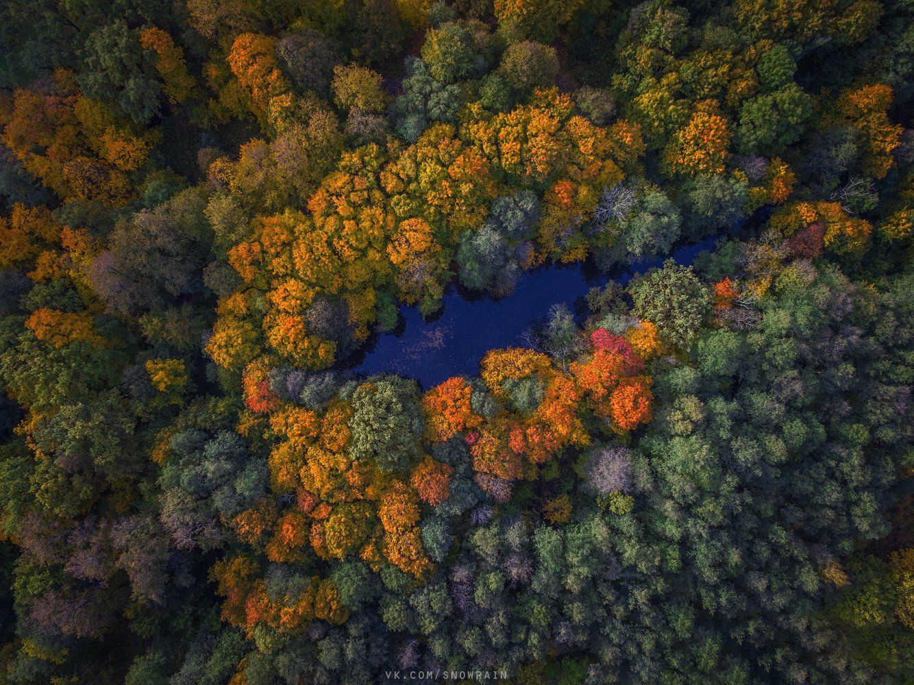 autumn, nature, aerial, drone, аэрофотосъемка, коптер, природа, пейзаж, landscape, осень, djiphantom, Snowrain