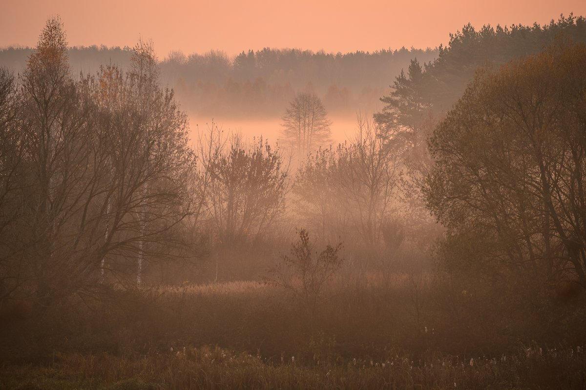 пейзаж,природа,осень,рассвет, Юлия Лаптева