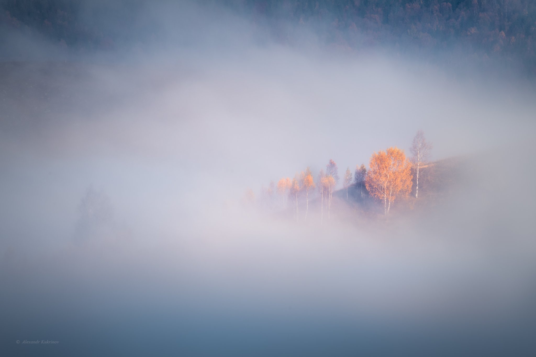 карпаты, осень, пейзаж, утро, рассвет, туман, Александр Кукринов