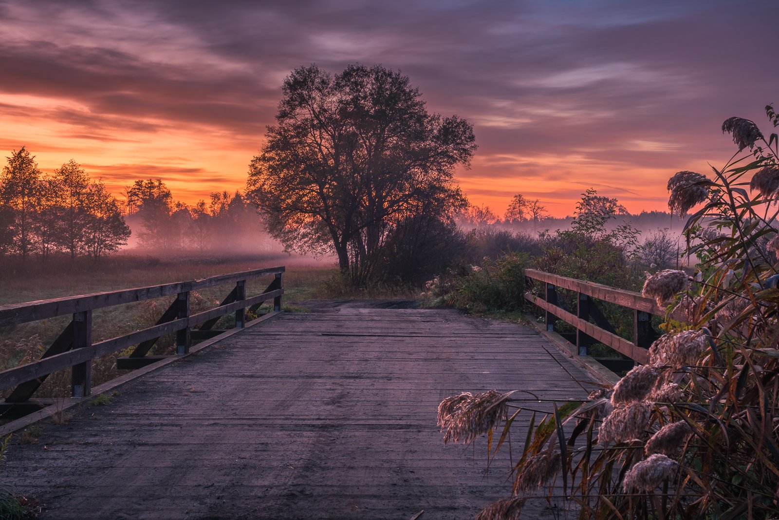 jeziorka, river, bridge, wooden, autumn, sunrise, landscape, nature, poland, dawn, view, Artur Bociarski