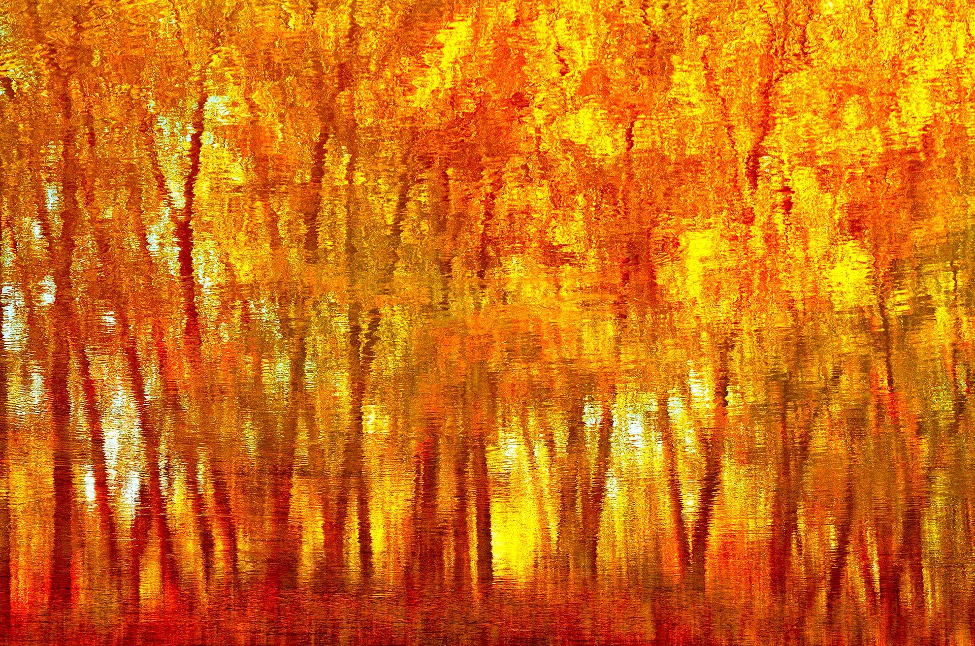 abstract, abstraction, abstract-art, art, autumn, color, colors, color-image, nature, photography, reflection,, Dr Didi Baev