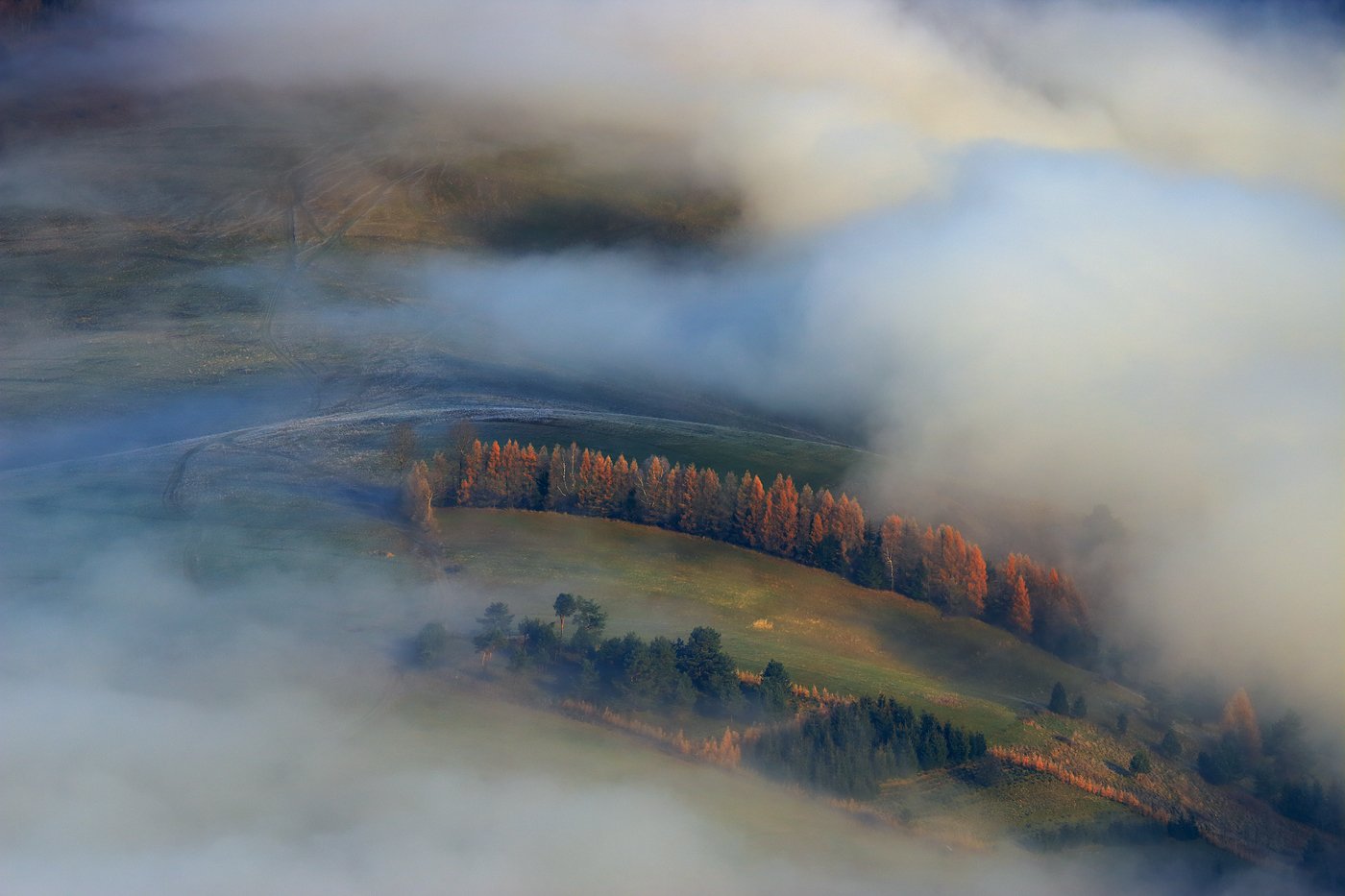 pieniny, mist, fog, trees, morning, sunrise,, Jacek Lisiewicz