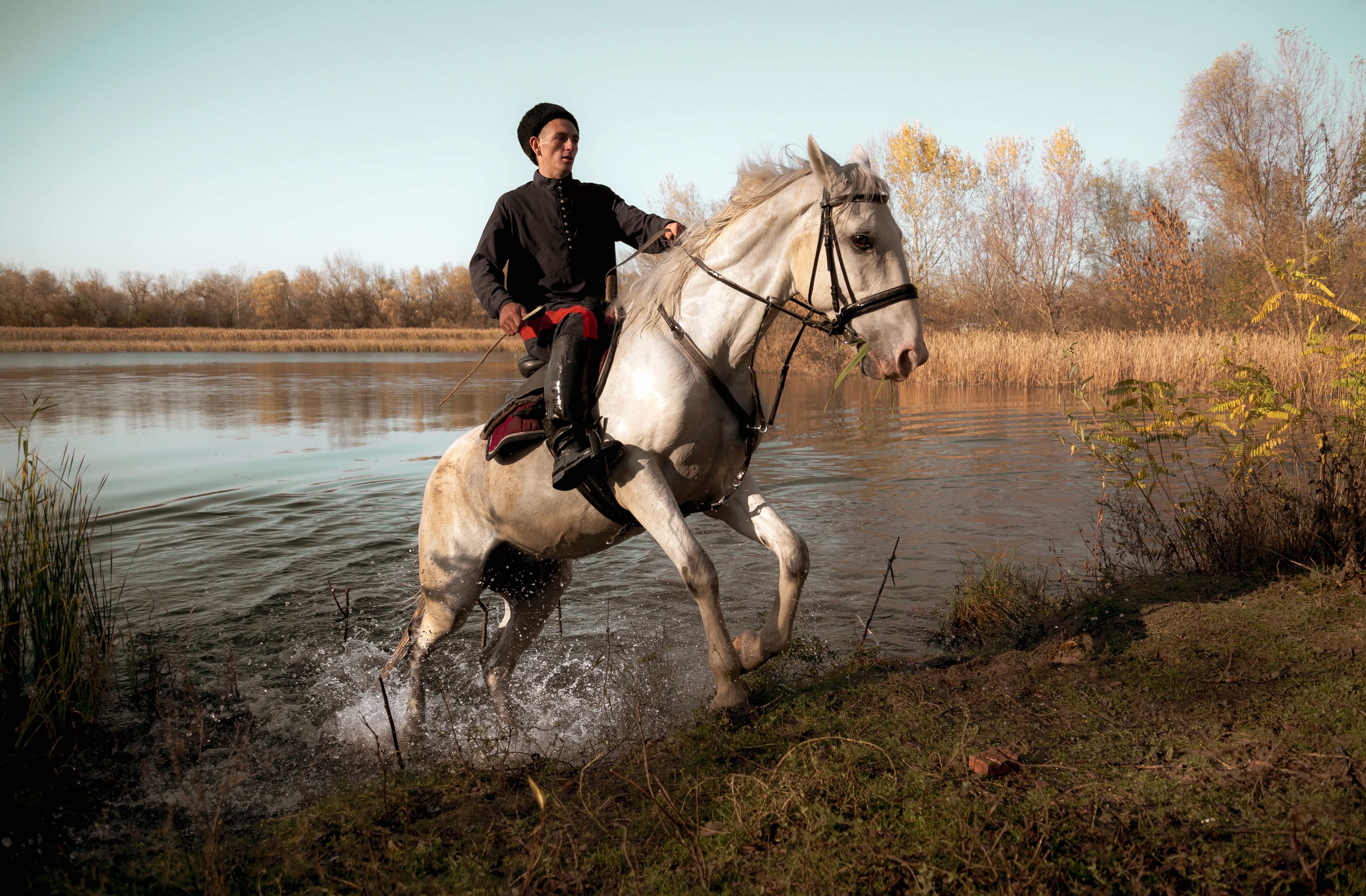 horse cossac culture autumn water pond лошадь казак природа культура традиции история осень пруд вода, Егор Бугримов