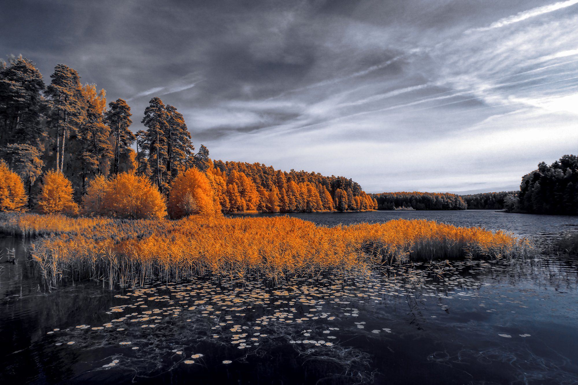 infrared,ик-фото,инфракрасное фото, инфракрасная фотография, пейзаж, осень, Sixten ( Сергей )