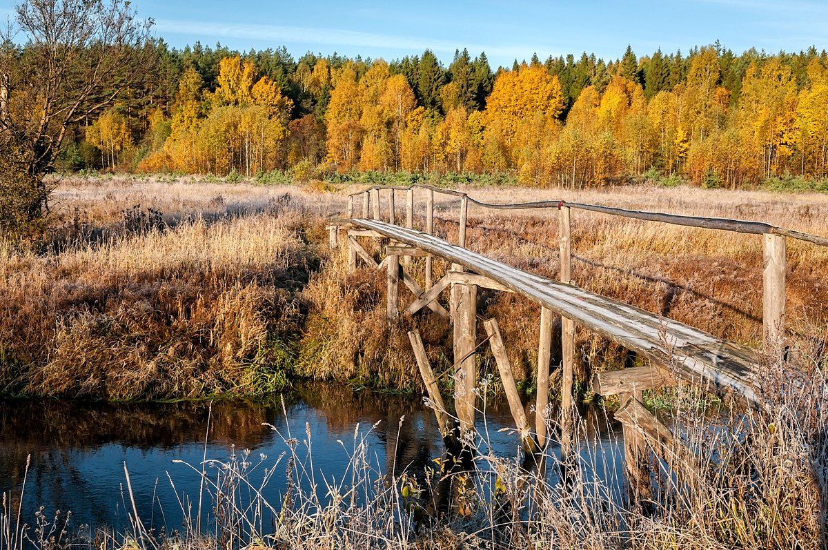 утро, река, морозец, иней, осень, солнце, Yakovlev Artur