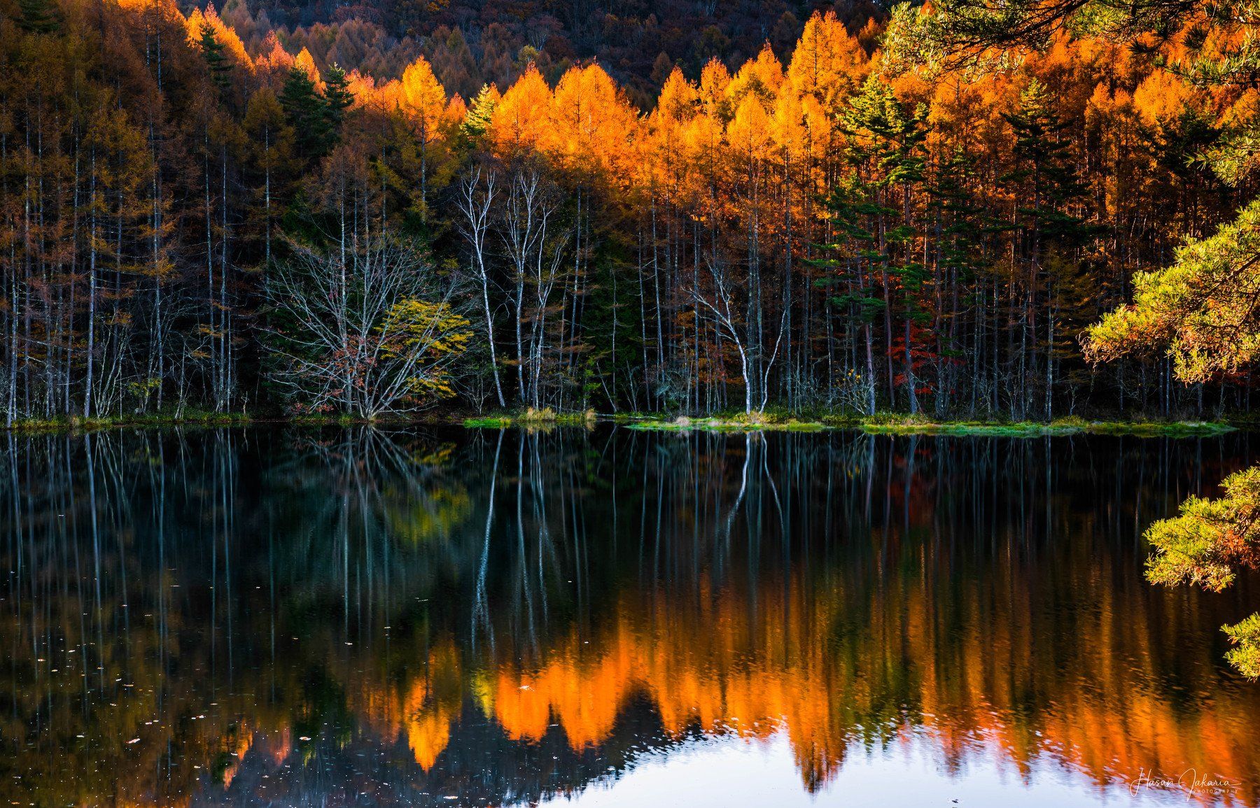 nature landscape japan mountain morning nagano autumn colors, Hasan Jakaria