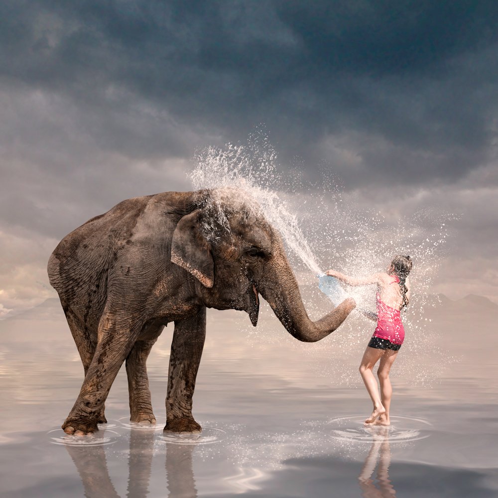 girl, sunset, water, reflection, light, tree, leaf, splash, elephant, mounting, worker, splashing, hard day, Caras Ionut