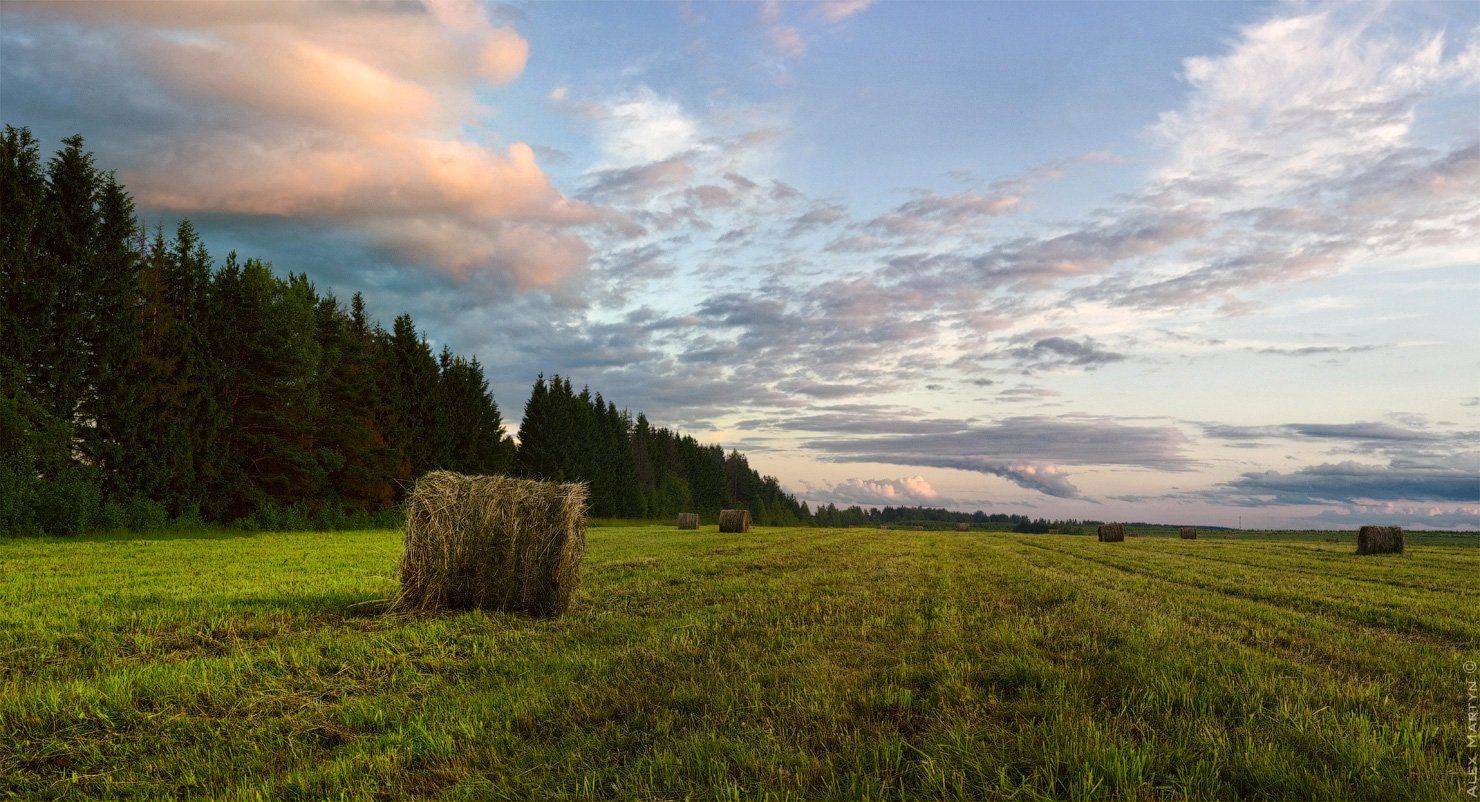 поле, кимры, сено, стог, лес, небо, закат, красота, Alexander Martynov