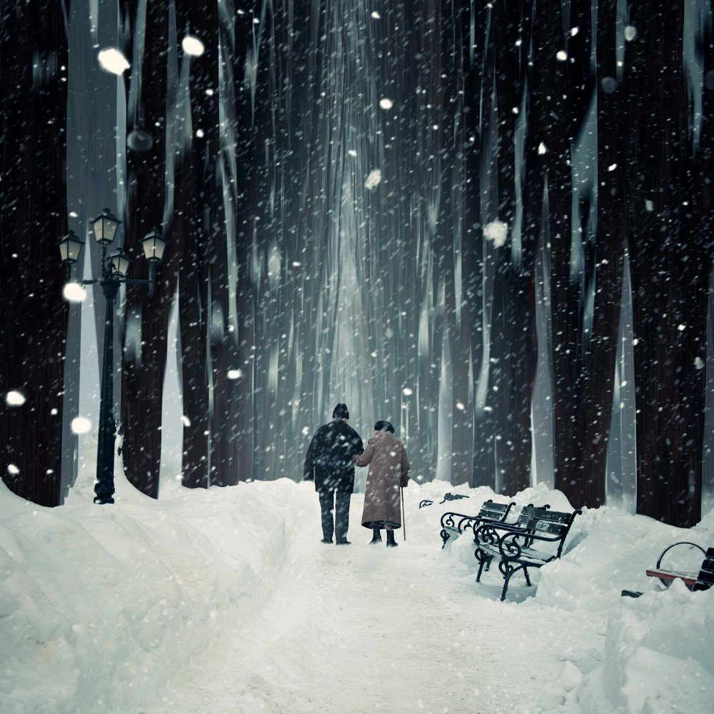 couple, story, snow, walking, winter, tree, bench, beautiful, white, Caras Ionut