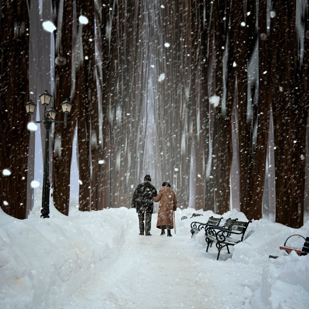 winter, light, tree, way, bench, woman, man, white, snow, couple, magic, pole, walking, Caras Ionut