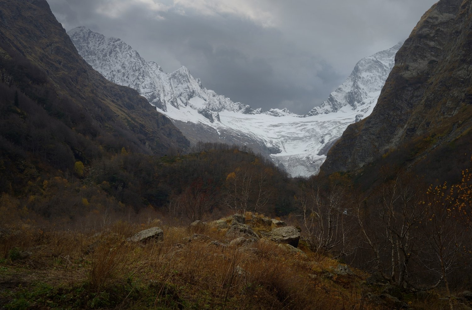 горы кавказ осень лес птыш, Александр Жарников
