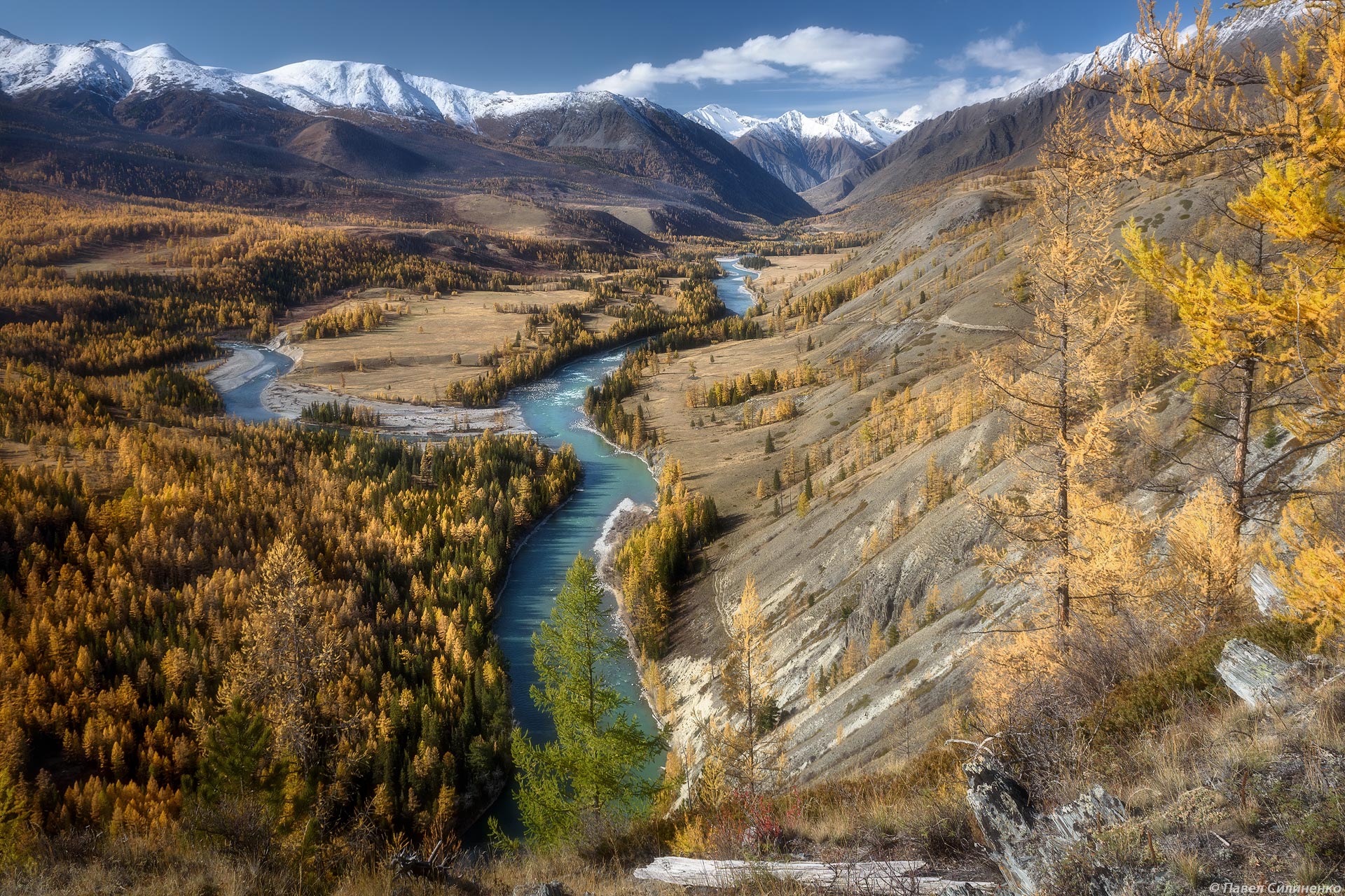 Алтай евразия. Река Аргут горный Алтай. Долина реки Аргут горный Алтай. Природа горного Алтая река Катунь. На реке Аргут в Алтайском крае.