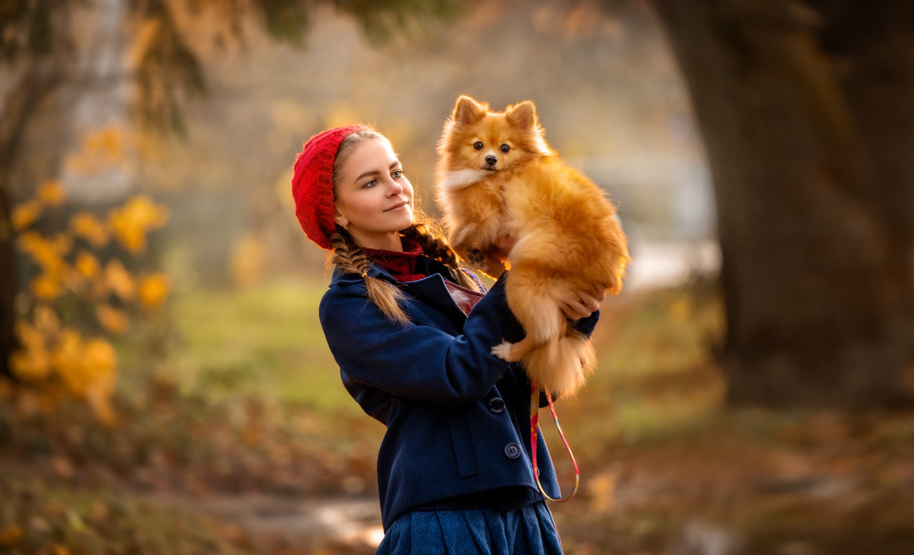 Рыжики. Фотограф Елена Чернигина