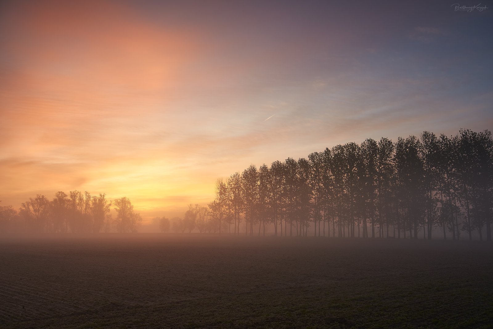 morning,  trees, nature, Bartłomiej Kończak