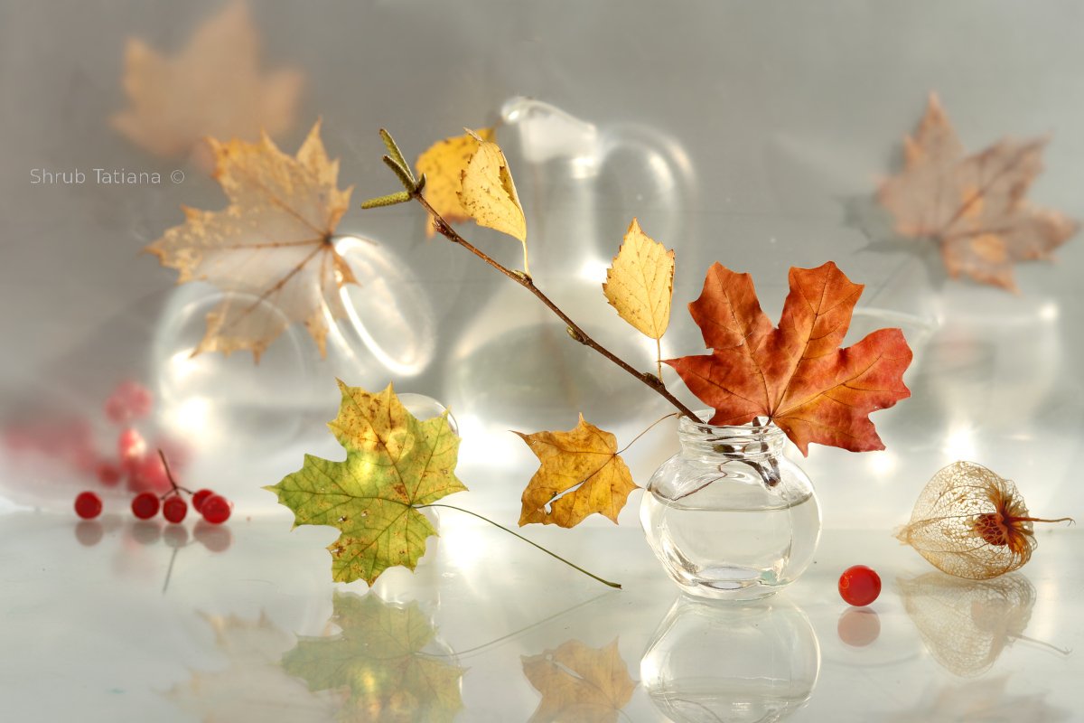 осень, листья, ветка, натюрморт, Шруб (Беляева) Татьяна