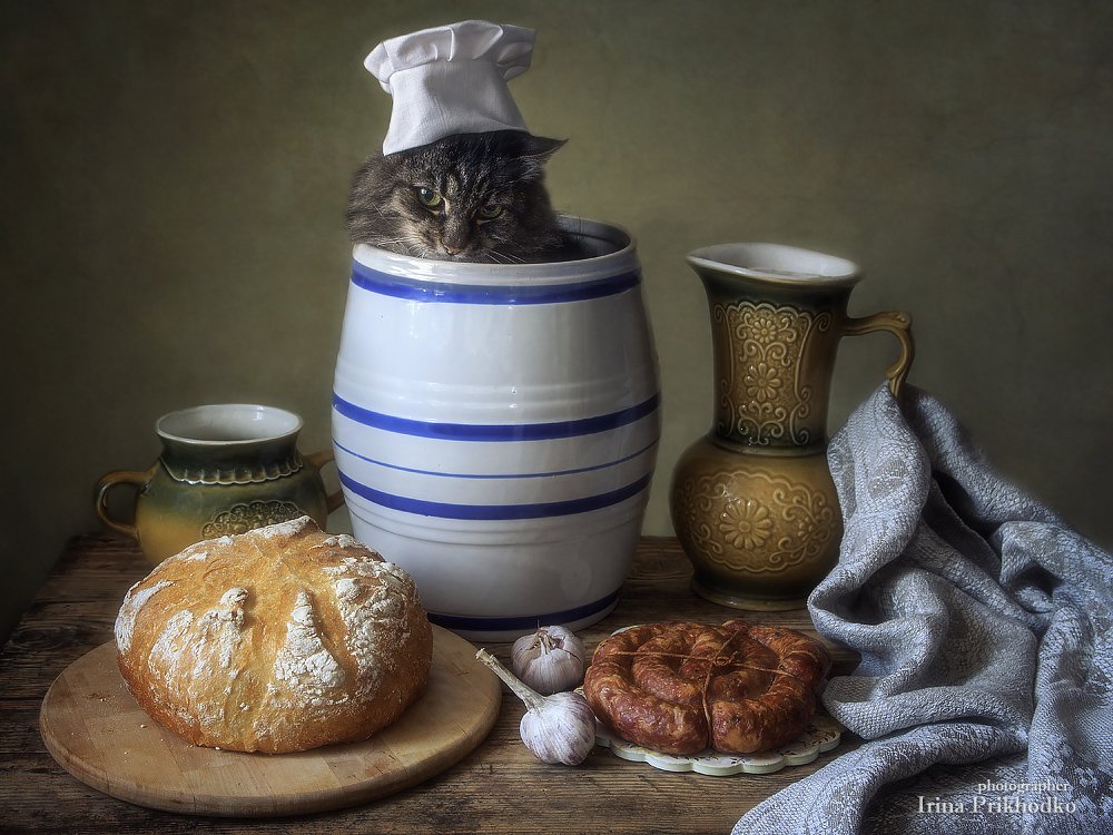 котонатюрморт, еда, кот Мейсон, деревенская кухня, запеченная колбаса, домашний хлеб, Ирина Приходько
